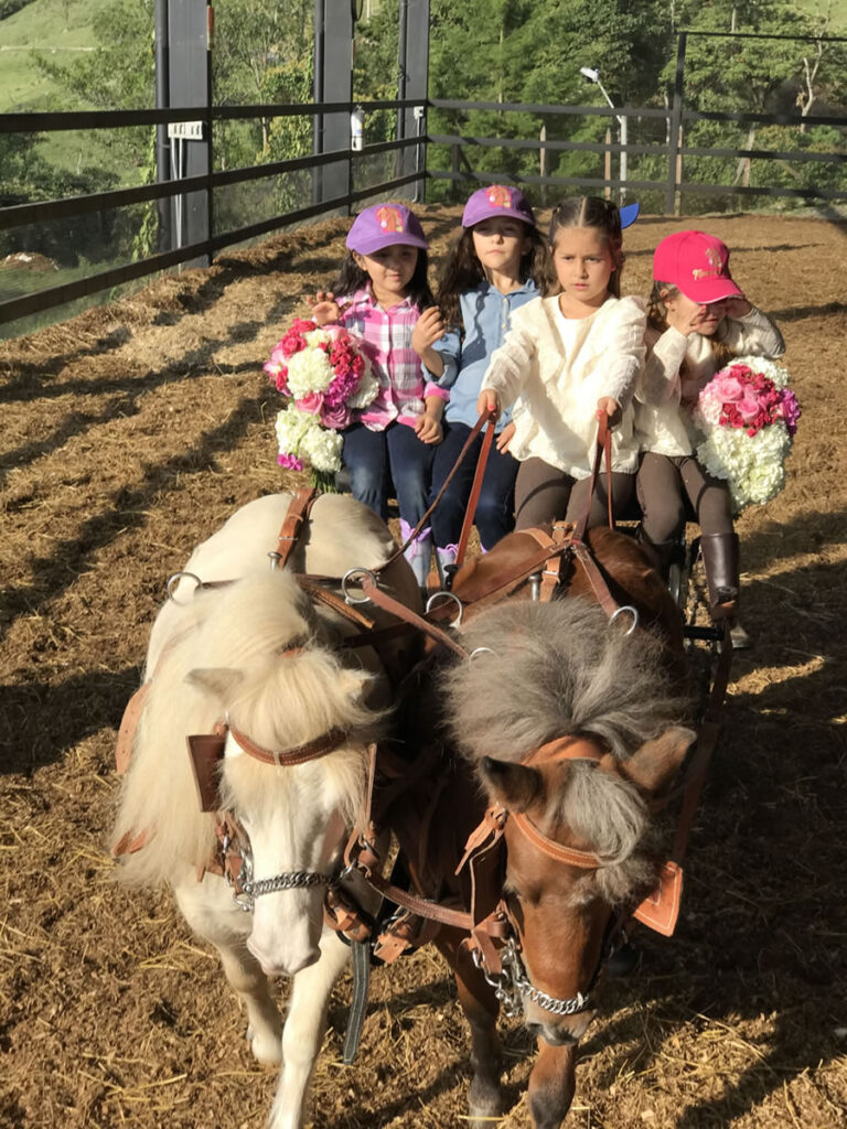 fiestas y eventos, Medellín, Colomba, La Bonanaza, Escuela de chalanería